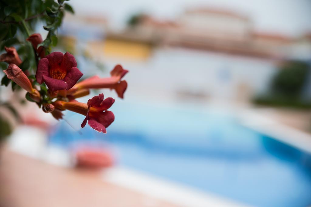 Apartamento Niriides Kyparissia Exterior foto