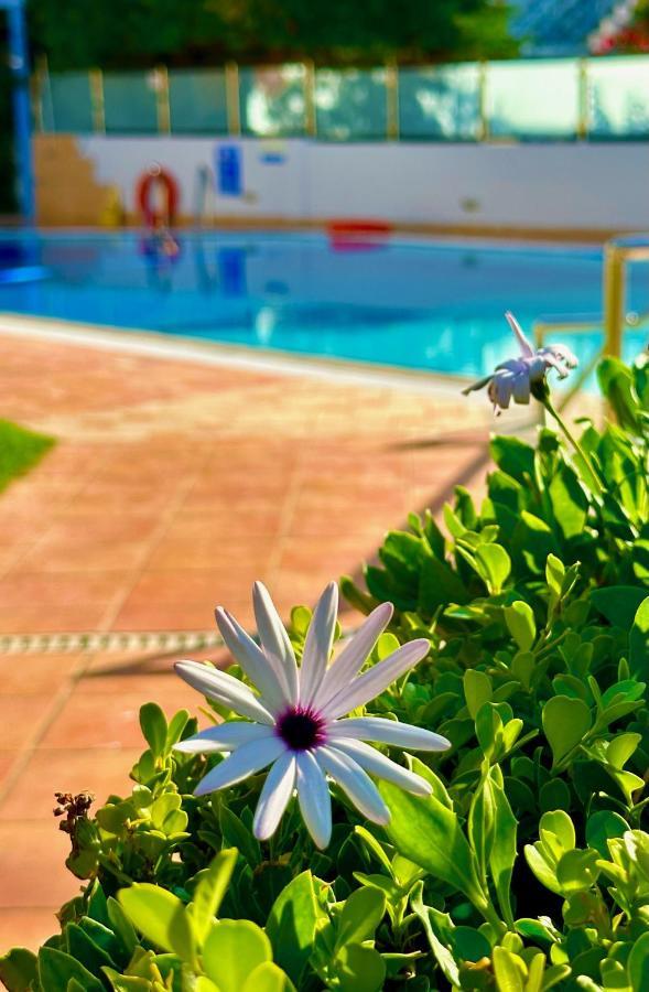 Apartamento Niriides Kyparissia Exterior foto